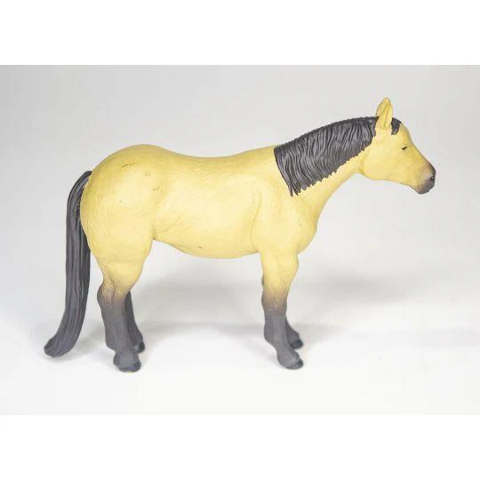 Quarter Horse Buckskin