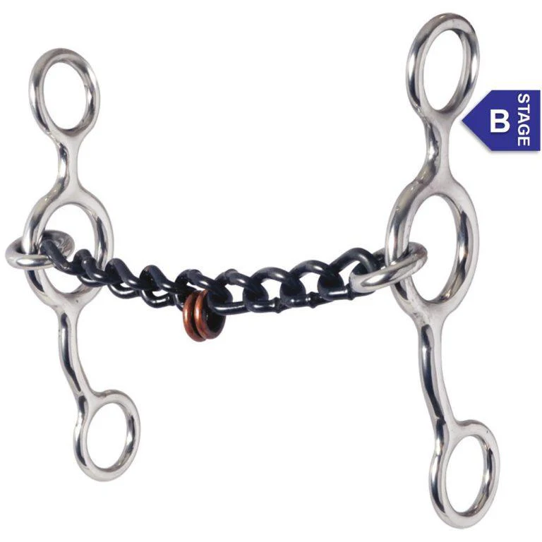 Reinsman Chain Junior Cowhorse Bit
