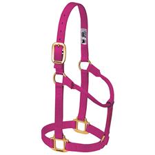Weaver Leather Original Non-Adjustable Nylon Horse Halter, Weanling/Pony - Image 11