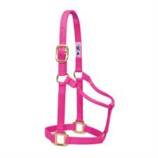 Weaver Leather Original Non-Adjustable Nylon Horse Halter, Weanling/Pony - Image 3
