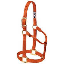Weaver Leather Original Non-Adjustable Nylon Horse Halter, Weanling/Pony - Image 9