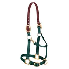 Weaver Leather Adjustable Breakaway Nylon Horse Halter - Weanling/Pony - Image 5