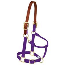 Weaver Leather Adjustable Breakaway Nylon Horse Halter - Weanling/Pony - Image 7