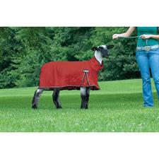 Weaver ProCool™ Sheep Blanket with Reflective Piping -Medium - Image 3