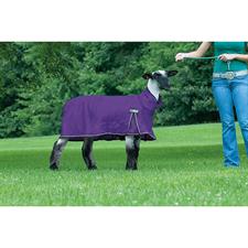 Weaver ProCool™ Sheep Blanket with Reflective Piping -Medium - Image 4