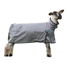Weaver ProCool™ Sheep Blanket with Reflective Piping -Medium - Image 5