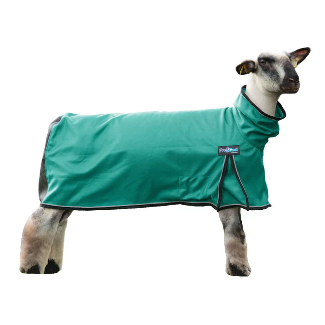 Weaver ProCool™ Sheep Blanket with Reflective Piping -Medium - Image 6