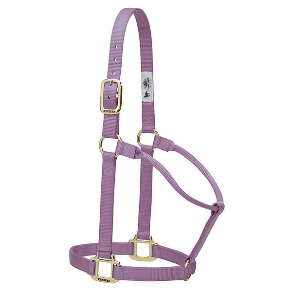 Weaver Leather Original Non-Adjustable Halter 1" - Yearling - Image 10