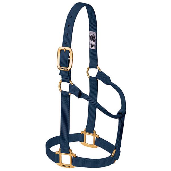 Weaver Leather Original Non-Adjustable Halter 1" - Yearling - Image 11