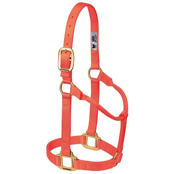 Weaver Leather Original Non-Adjustable Halter 1" - Yearling - Image 13