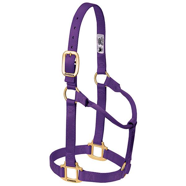 Weaver Leather Original Non-Adjustable Halter 1" - Yearling - Image 14
