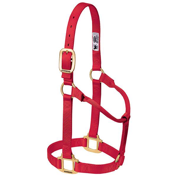 Weaver Leather Original Non-Adjustable Halter 1" - Yearling - Image 15