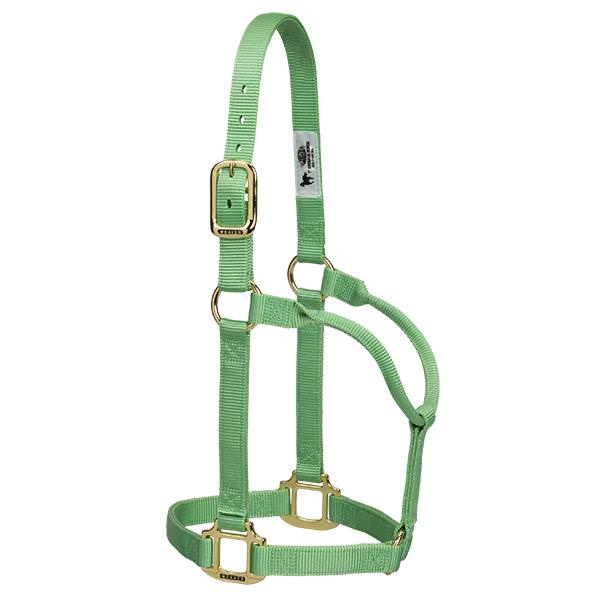 Weaver Leather Original Non-Adjustable Halter 1" - Yearling - Image 16
