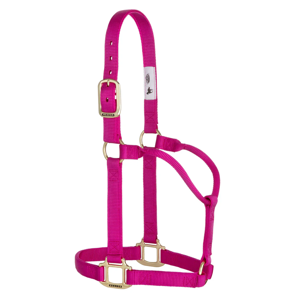 Weaver Leather Original Non-Adjustable Halter 1" - Yearling - Image 17