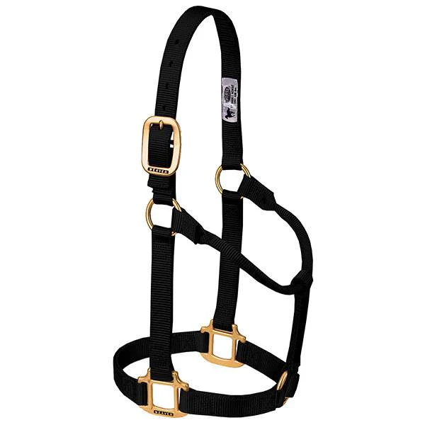 Weaver Leather Original Non-Adjustable Halter 1" - Yearling - Image 2