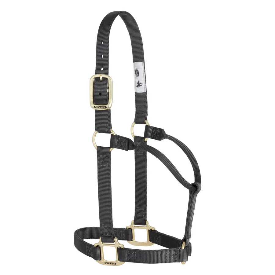 Weaver Leather Original Non-Adjustable Halter 1" - Yearling - Image 28