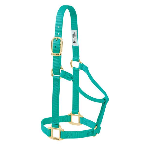 Weaver Leather Original Non-Adjustable Halter 1" - Yearling - Image 4