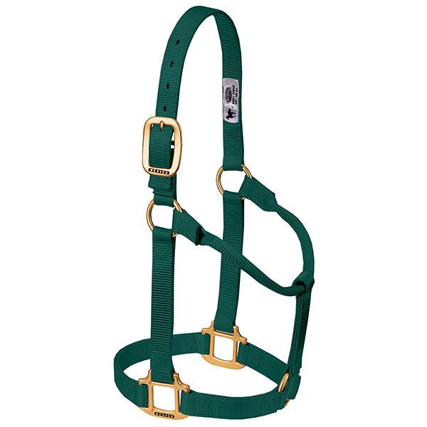 Weaver Leather Original Non-Adjustable Halter 1" - Yearling - Image 8