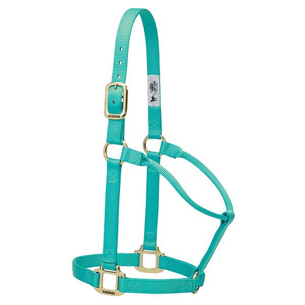 Weaver Leather Original Non-Adjustable Halter 1" - Yearling - Image 9