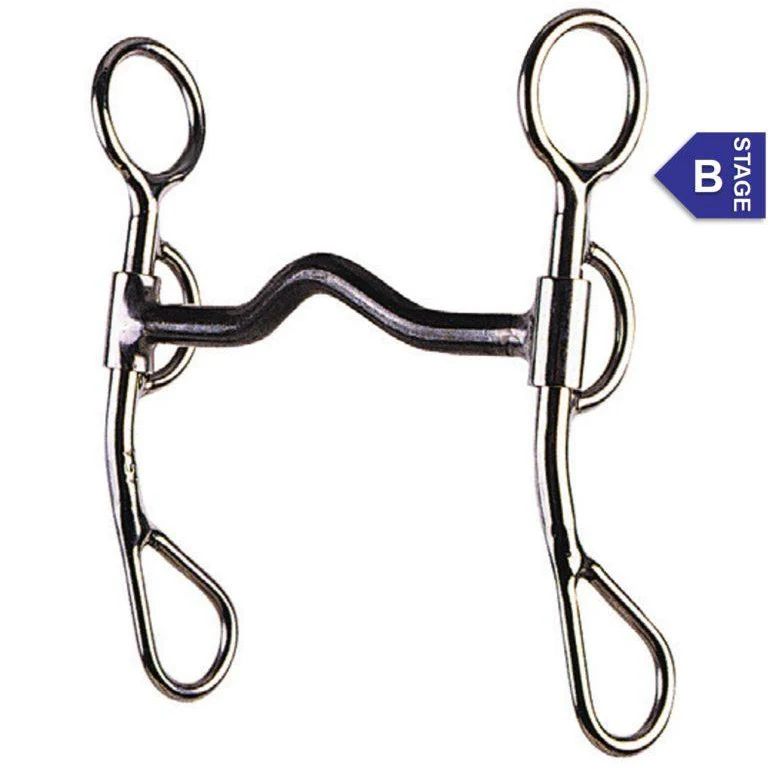 Reinsman Stage B Argentine 3/8" Sweet Iron Low Port