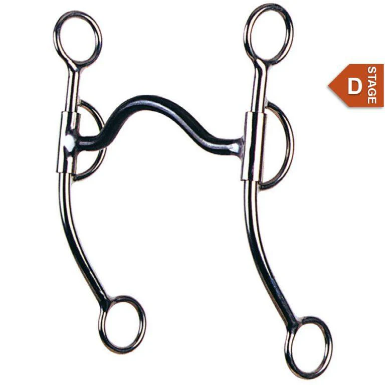 Reinsman D & L Reiner Bit