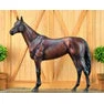 Breyer Kid's Winx - Champion Australian Racehorse
