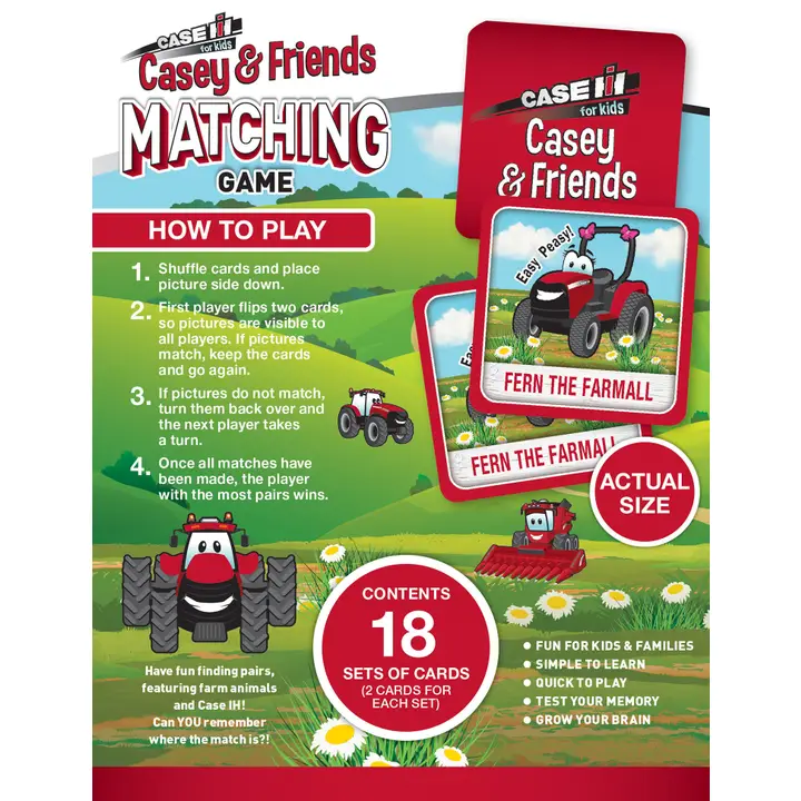 Casey & Friends Matching Game - Image 3