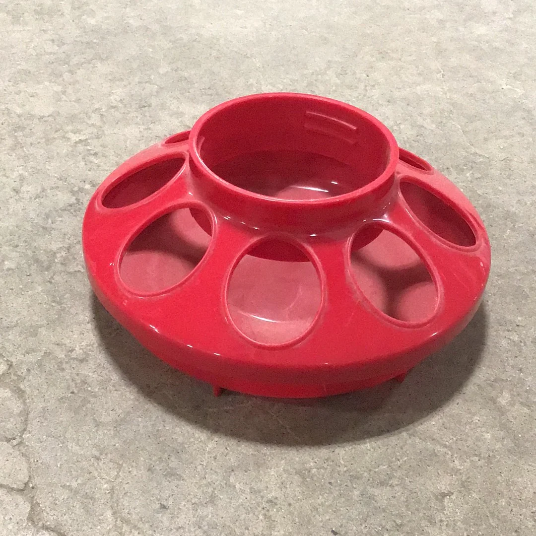 Chick Start Kit - Image 3