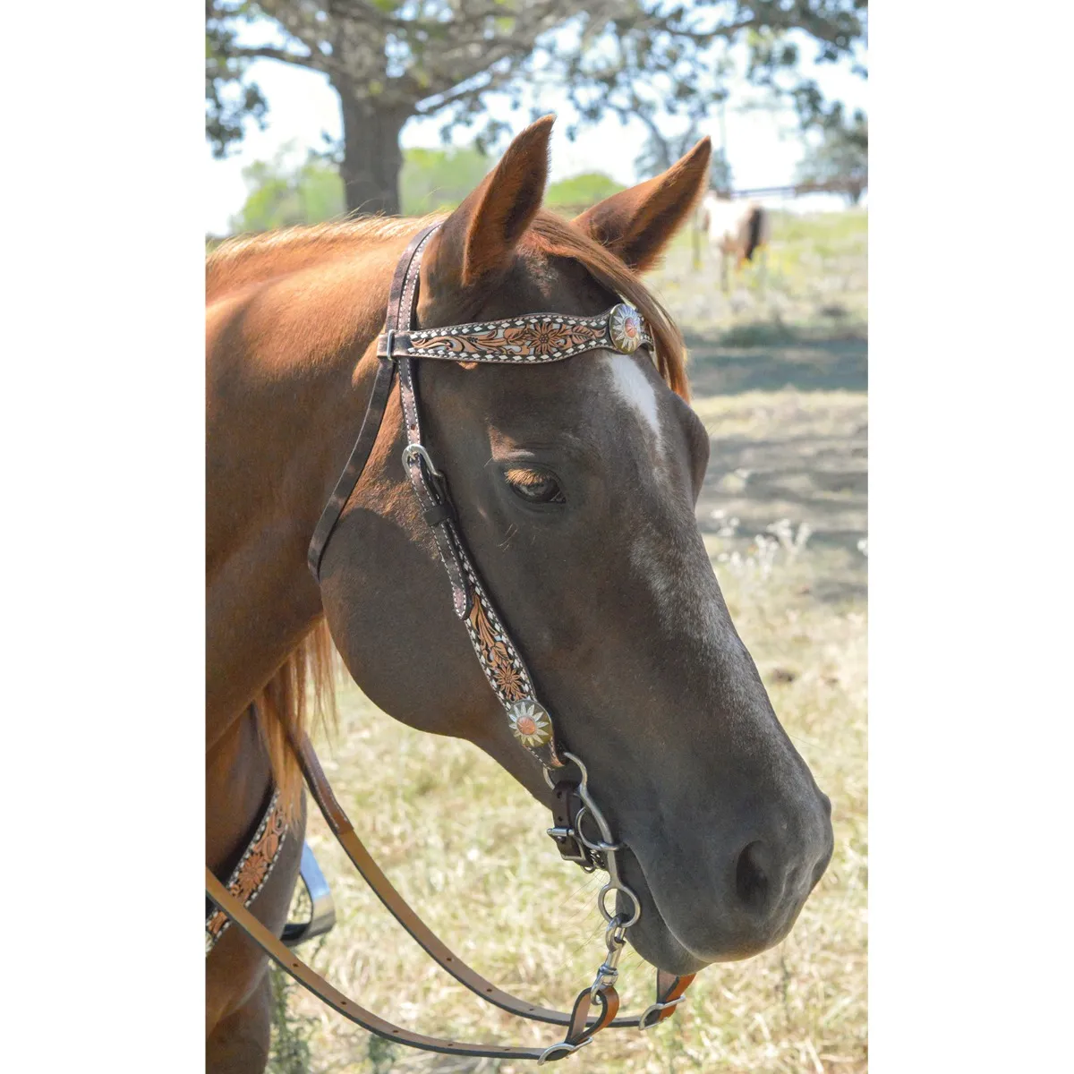 Circle Y White Daisy Filigree Browband Headstall - Image 5
