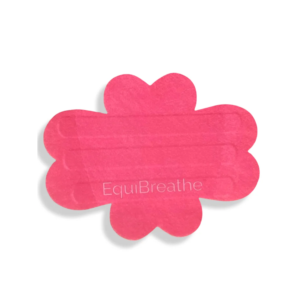 EquiBreathe Equine Nasal Patch - Image 11