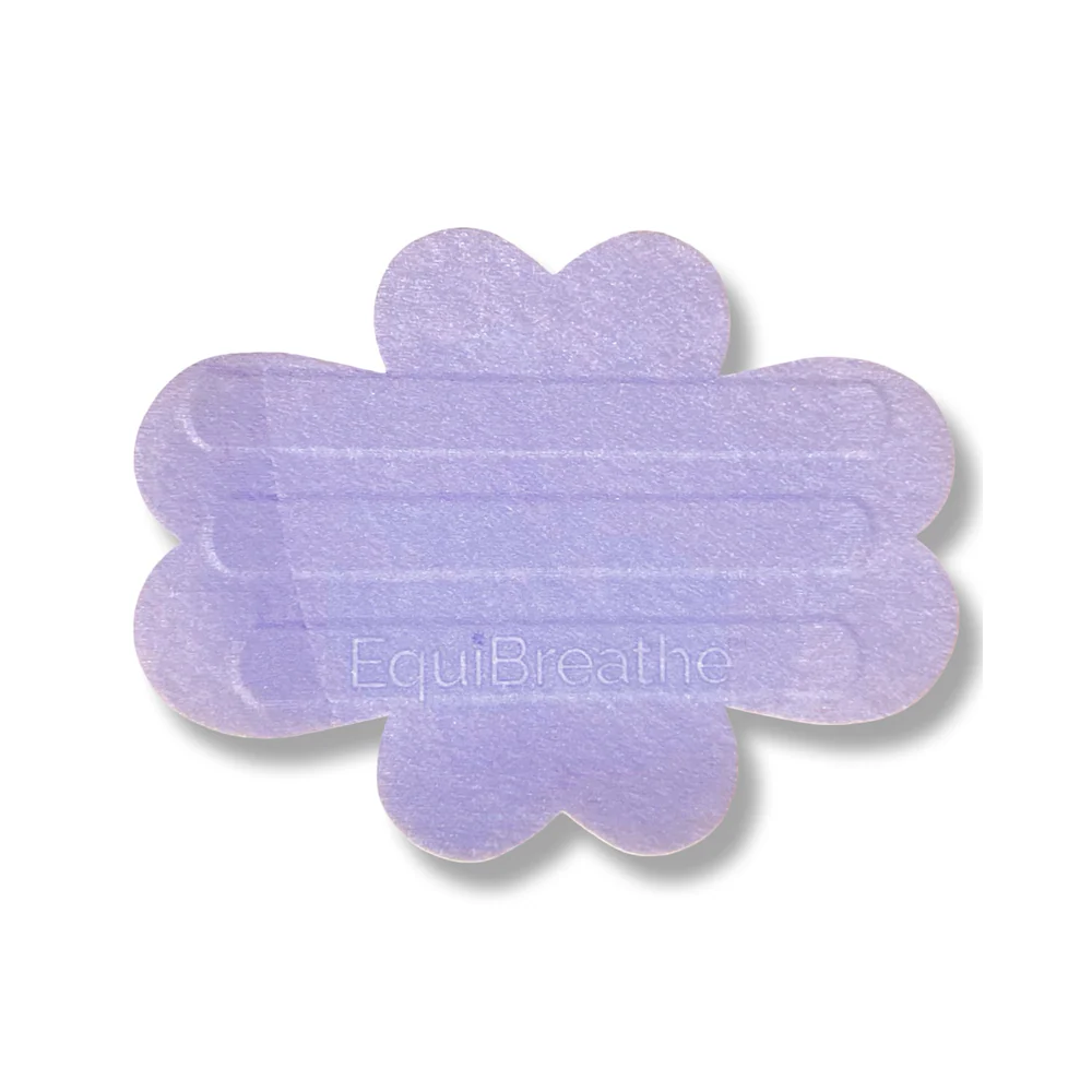 EquiBreathe Equine Nasal Patch - Image 12