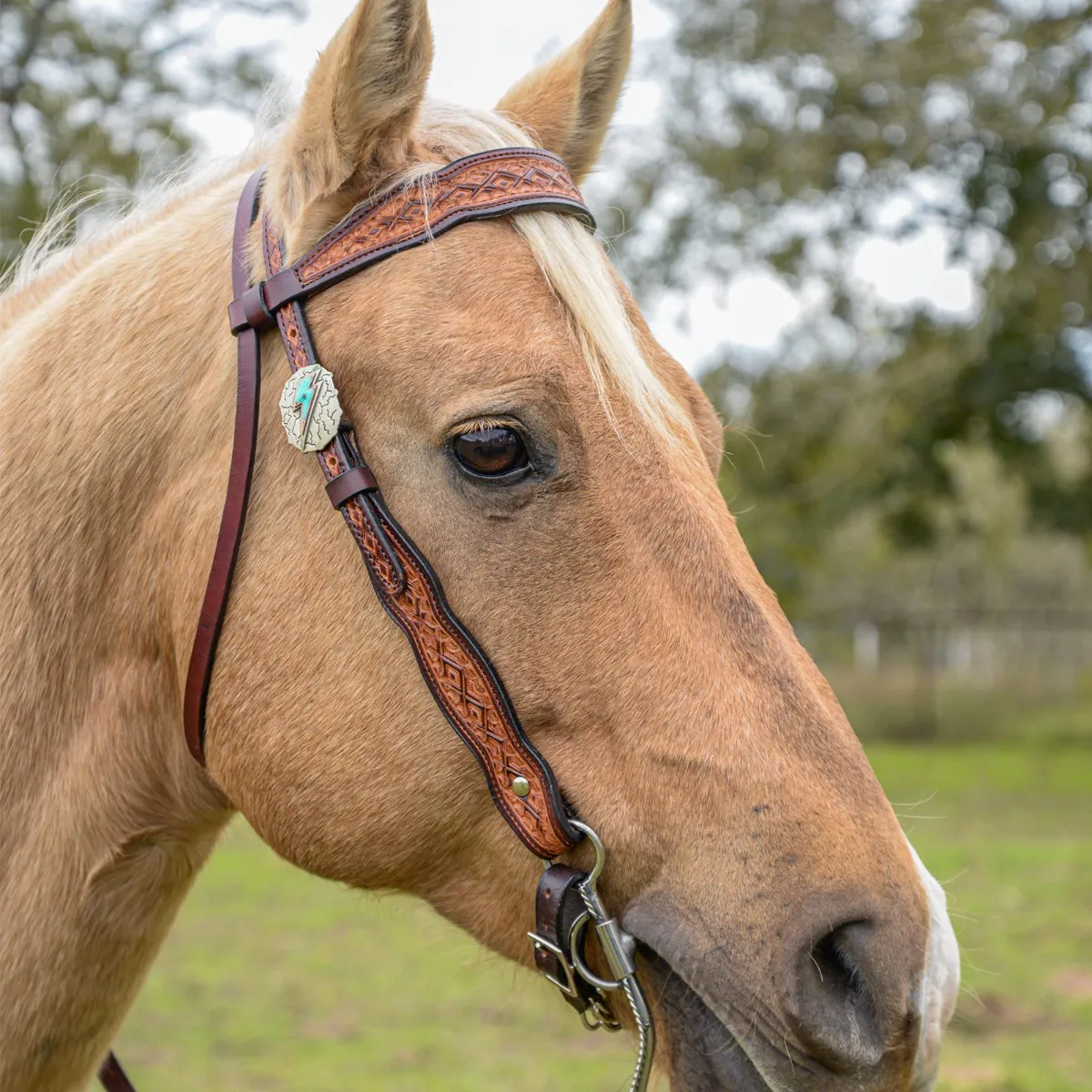 Headstall Montana Vintage - Image 2