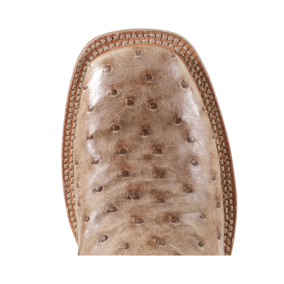 Hyer Women's Harper Western Boots - Tan Full-Quill Waxy Ostrich - Image 2