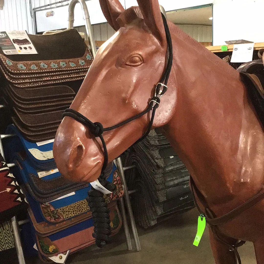 Irvine's Easy-On Horse Rope Halter - Image 5