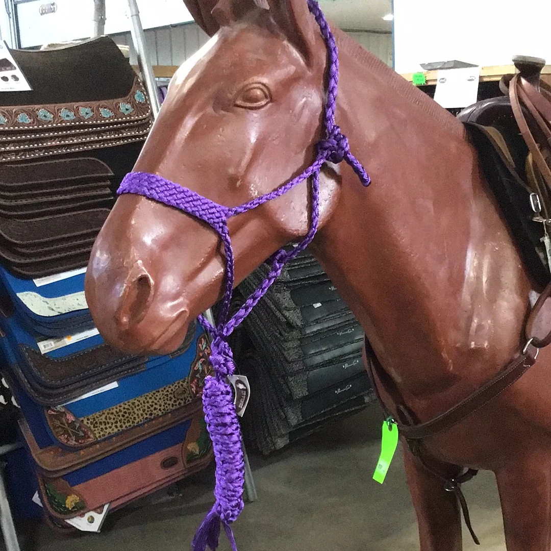 Irvine Mule Tape Halter w/8 ft Lead - Image 10