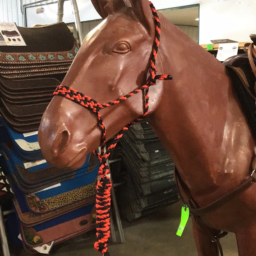 Irvine Mule Tape Halter w/8 ft Lead - Image 12