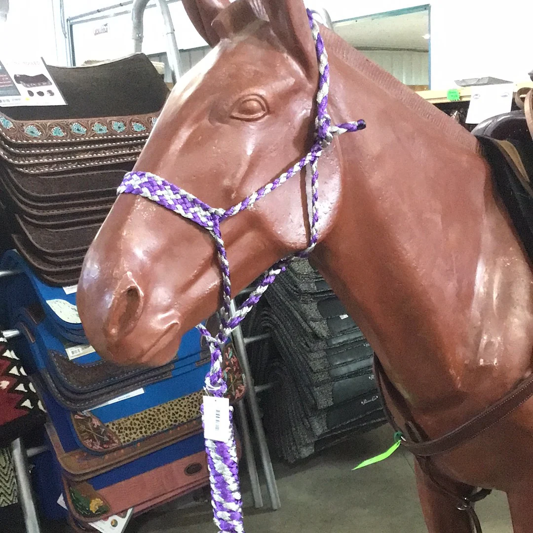 Irvine Mule Tape Halter w/8 ft Lead - Image 4