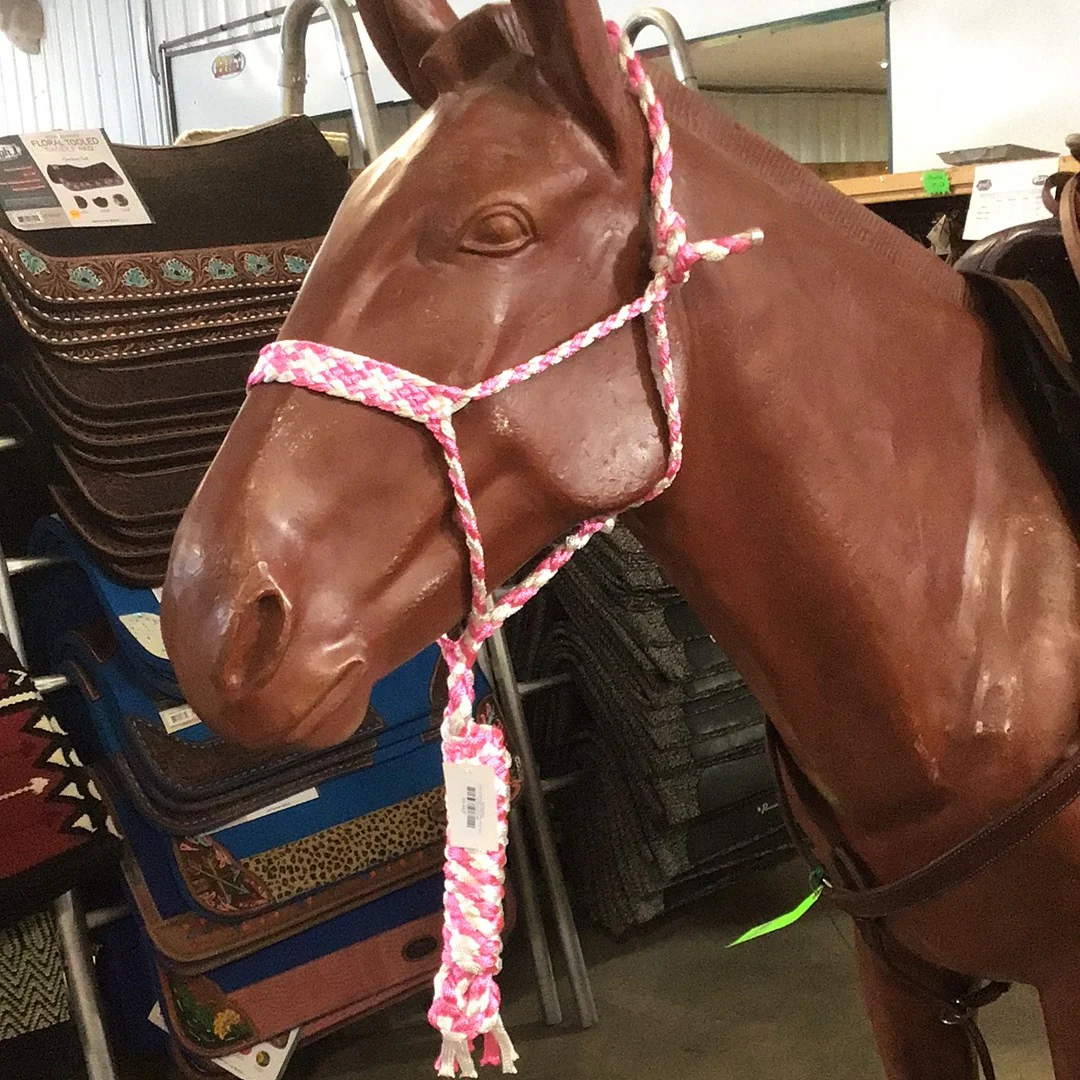 Irvine Mule Tape Halter w/8 ft Lead - Image 5