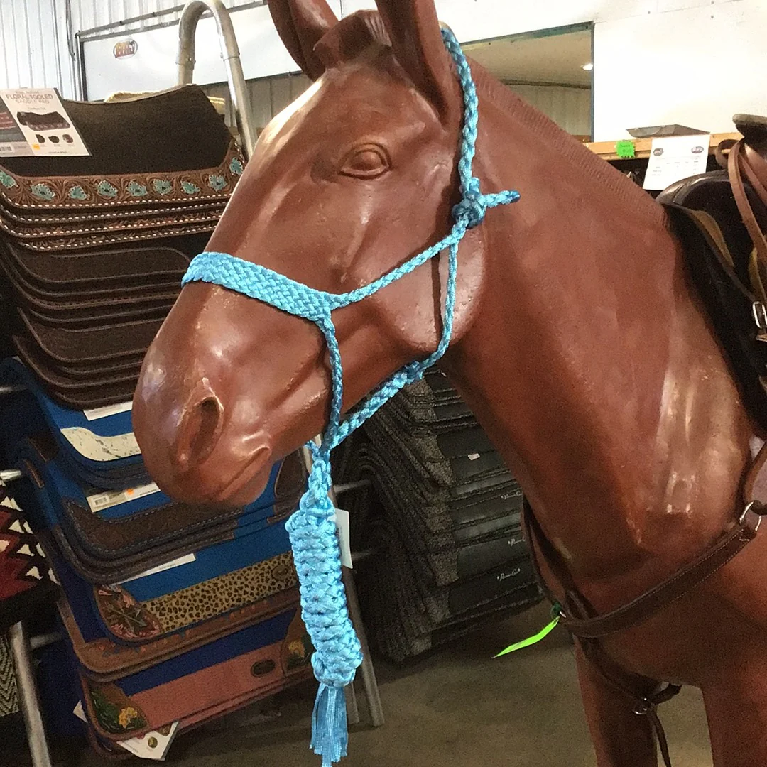 Irvine Mule Tape Halter w/8 ft Lead - Image 6