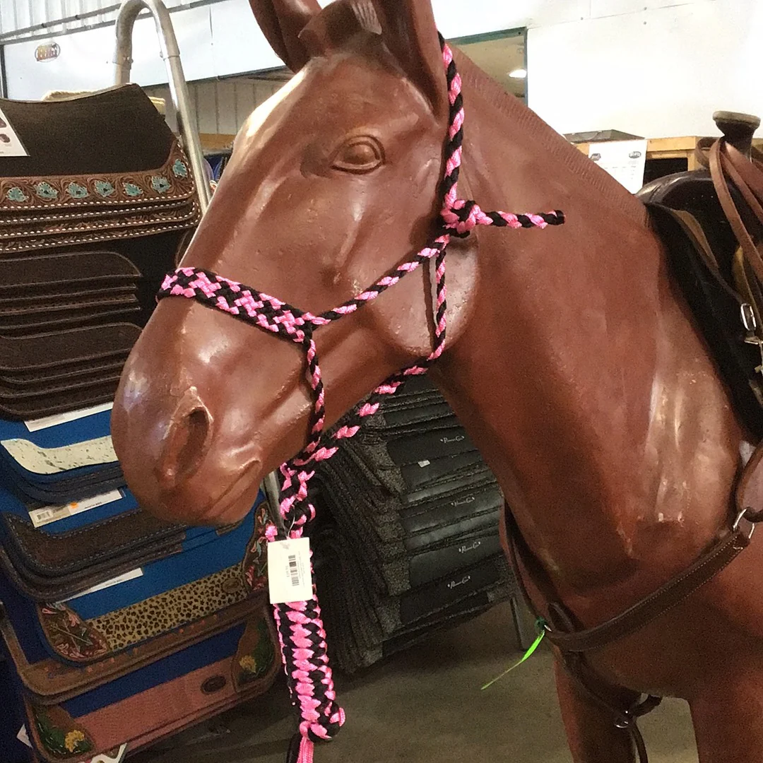 Irvine Mule Tape Halter w/8 ft Lead - Image 8