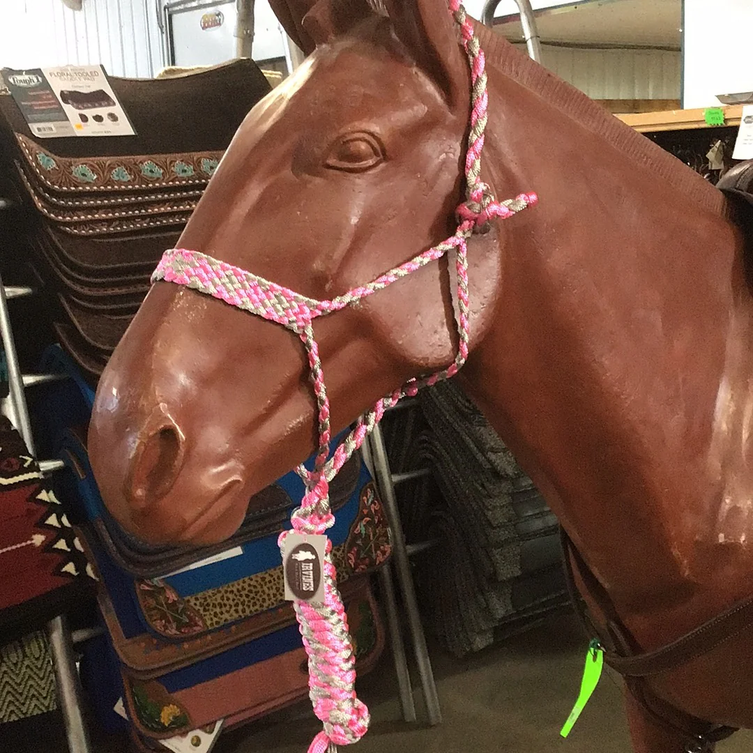 Irvine Mule Tape Halter w/8 ft Lead - Image 9