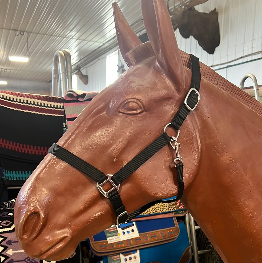 Irvine Nylon Adjustable Halter w/Snap - Image 12