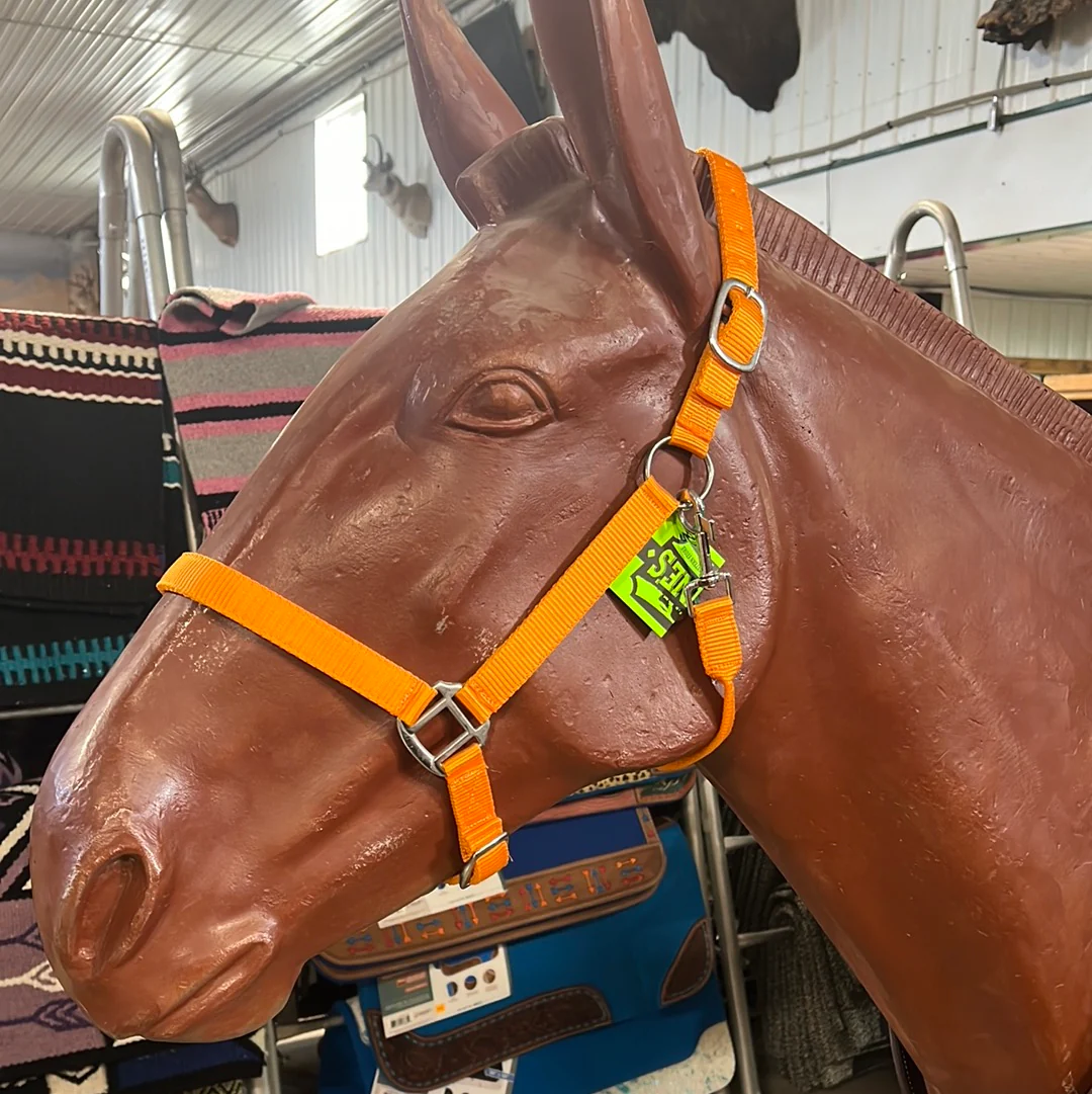 Irvine Nylon Adjustable Halter w/Snap - Image 8