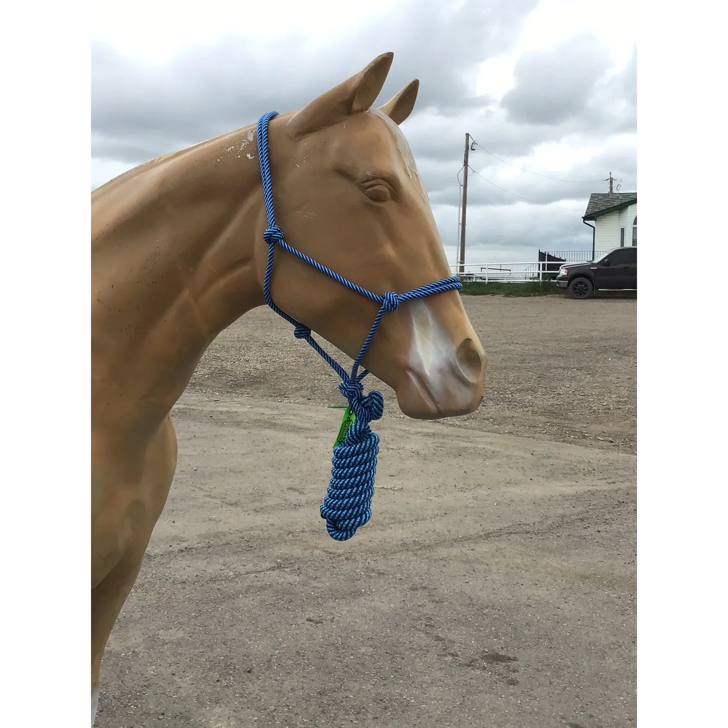 Irvine Rope Halter w/Matching Lead Rope - Image 4