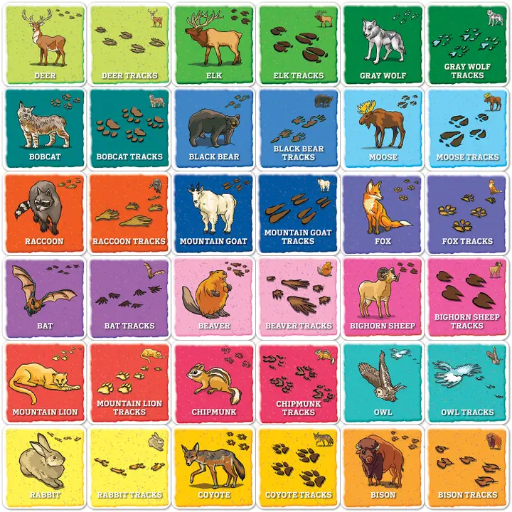 Jr. Ranger Animal Tracks Matching Game - Image 2