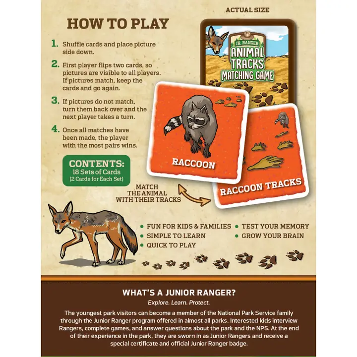 Jr. Ranger Animal Tracks Matching Game - Image 3