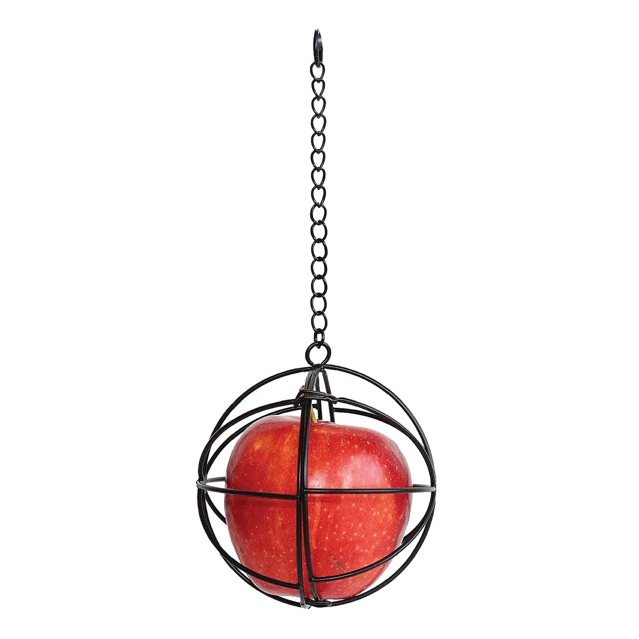 Little Giant Chicken Treat Ball 4"