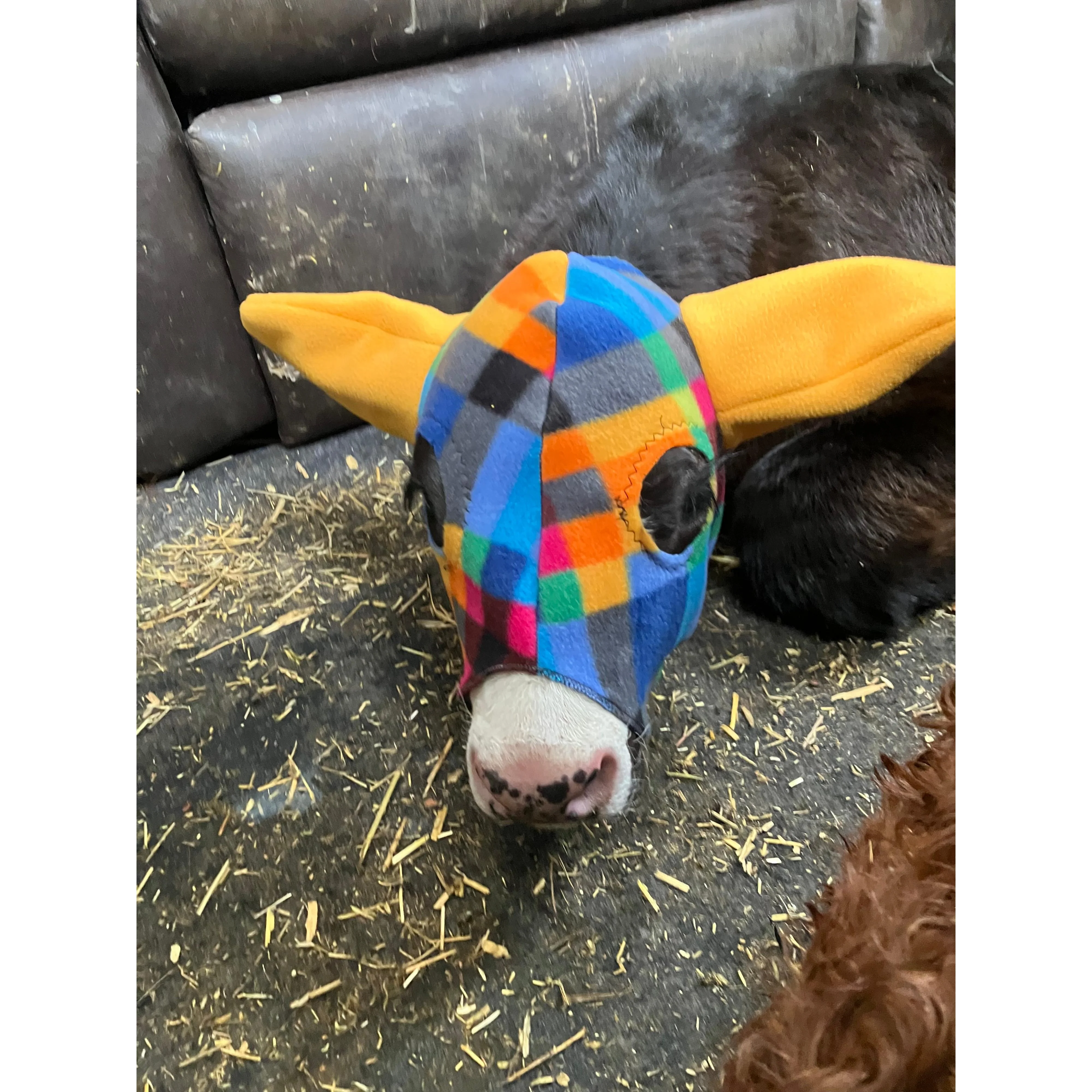Mooques Calf Touque - Image 2