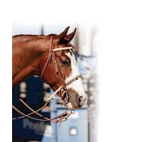 Professionals Choice Braided Rawhide Double Rope Noseband - Image 2