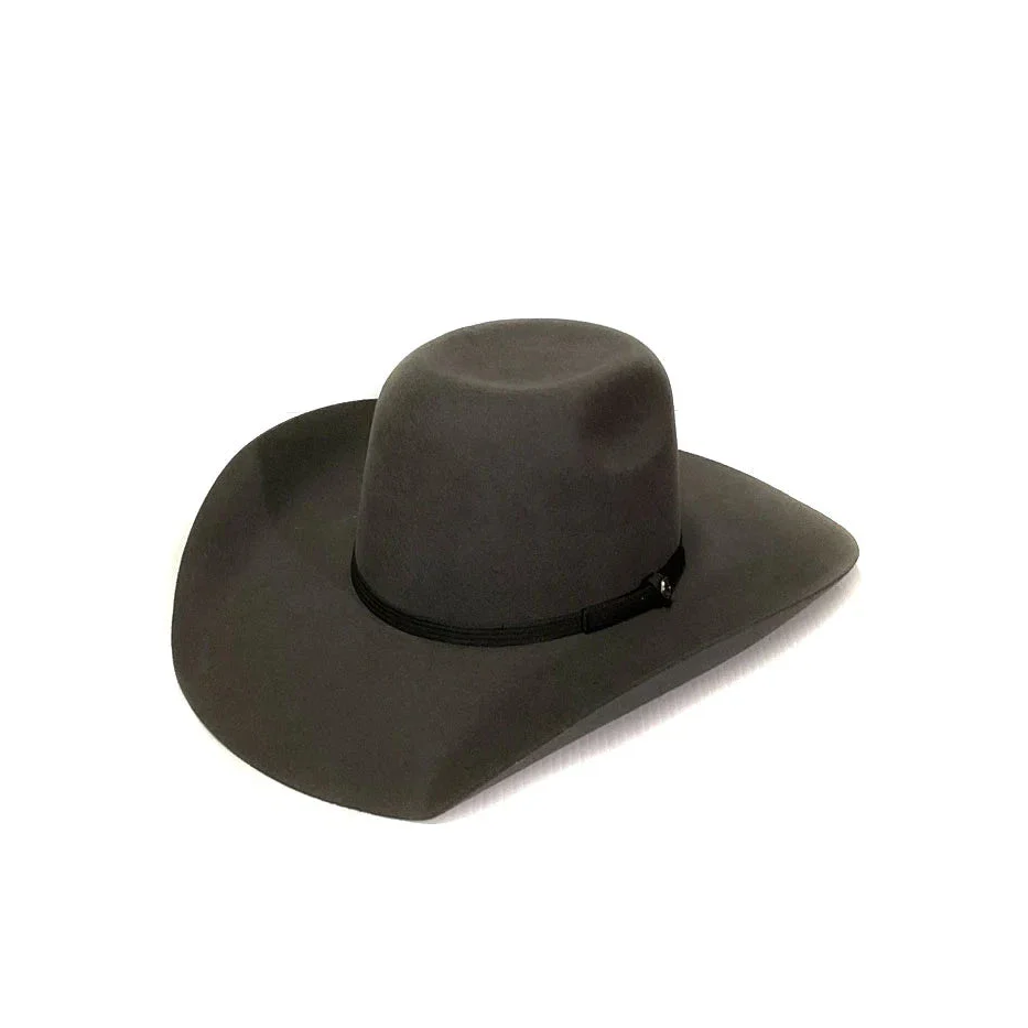 Resistol 4X Hooey  Day Money Felt Cowboy Hat - Image 3